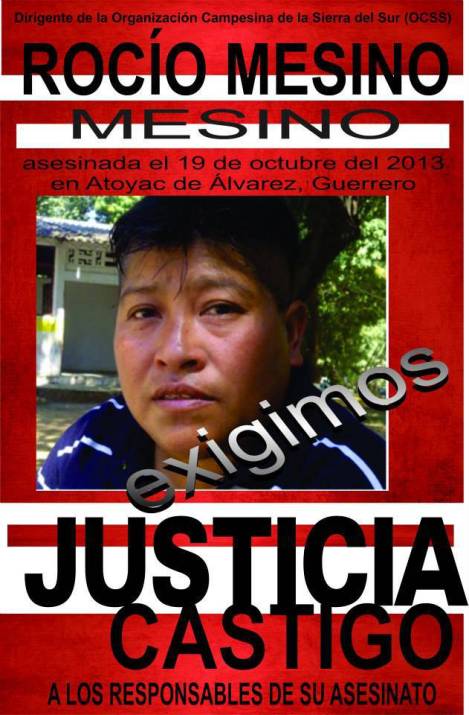 FNLS exige castigar el asesinato de la activista Rocío Mesino y alerta sobre represión del Estado mexicano
